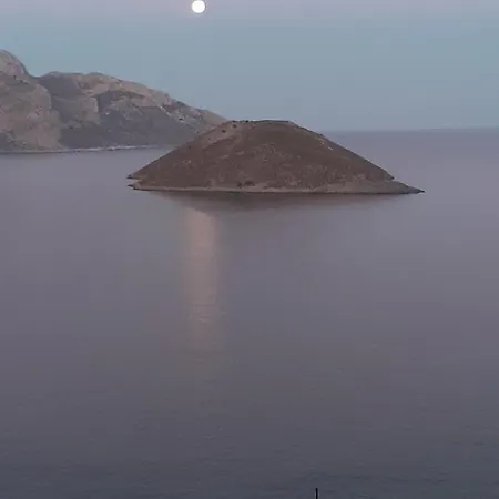 فيلة Anna *